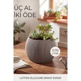 Kaktüs ve Çiçekler Için Dekoratif ve Şık Mercan Saksı Büyük Boy