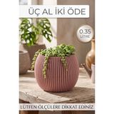 Kaktüs ve Çiçekler Için Dekoratif ve Şık Yuvarlak Mercan Saksı No2