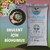 Kaktüs Ve Sukulent İçin, Biohumus Organik Gübre, Kök Geliştirici, Toprak Düzenleyici, Bitki Besleyici 25 Kg