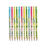 Kaktüs Yuvarlak Kurşun Kalem 12 Adet 1 Paket Faber Kurşun Kalem 2B Siyah Kurşun Kalem Kaktüs Desenli