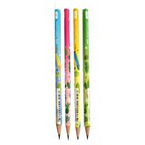Kaktüs Yuvarlak Kurşun Kalem 4 Adet 1 Paket Faber Kurşun Kalem 2B Siyah Kurşun Kalem Kaktüs Desenli 2B Kalem