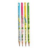Kaktüs Yuvarlak Kurşun Kalem 4 Adet 1 Paket Faber Kurşun Kalem 2B Siyah Kurşun Kalem Kaktüs Desenli