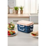 KaktüsKedi Aurora 2 Katlı Paslanmaz Çelik Beslenme Kabı, Pembe, Kaşık ve Çatal Dahil, Sızdırmaz, 850 ml