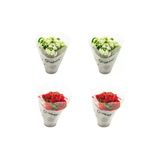 Kalanşo Emel Hanım Çiçeği Fidanı 4'Lü Mix Set 10-20 Cm