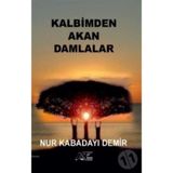 Kalbimden Akan Damlalar - Nur Kabadayı Demir