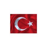 Kale Alpaka Türk Bayrağı 50*75