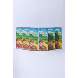 Kale Pestil & Köme Kids Mix Meyve Pestili, Glutensiz ve Şeker İlavesiz, 5 Adet, 80 Gr