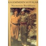 KALEMIMDEN SAYFALAR - NECMETTIN BÜYÜKKAYA
