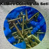 Kalibreli Dübel ve Vida Seti 100 Adet – Pul Başlı, 8mm Dübel