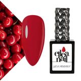 Kalıcı Oje 15 ml 2505