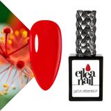 Kalıcı Oje 15 ml 4278