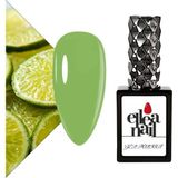 Kalıcı Oje 15 ml A0729
