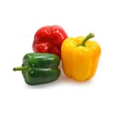 Kalifornia Renkli Dolma Biber Tohumu 500+ Tohum N117629