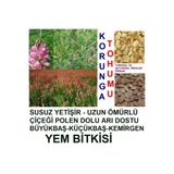 Kaliteli 10.000 Adet Kemirgen Yemi Korunga Tohumu