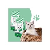 Kaliteli Ekonomik 2 li Paket Premium Yetişkin Kedi Maması Tavuk-Balık 2x1.5 Kg