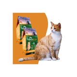 Kaliteli Yetişkin Kedi Maması Tavuk Etli 2x10 Kg İkili Paket Ekonomik Yüksek Enerjili