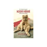 Kalkedon Kedi Hissi - Kedilerin Sırları Çözülüyor