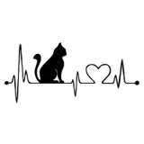 Kalp Kedi Araba Sticker Yapıştırma