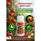 Kalsim-B Bitkiler ve Çiçekler İçin Kalsiyum Besin Vitamin Takviye Ürünü Hobi kullanımı içindir (küçük boy)
