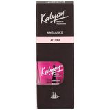 Kalyon Ambiance Acı Cila, 11 ml, Renkli