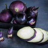 Kamo Patlican Tohumu (15 Tohum)