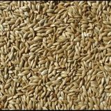 Kanarya Sade Yem 1 kg Aspur