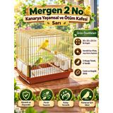 Kanarya Yaşamsal Ve Ötüm Kafesi Sarı (35 X 32 X 23 Cm – Çift Kapılı, Camlı, Sürgülü Altlıklı, 3 Ahşap Tünekli Ve 4 Yemlikli Vernikli Pirinç Kuş Kafesi)