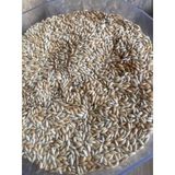Kanarya Yemi 5 KG ( Sade )