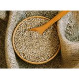 Kanarya Yemi İthal Kanada Aspur 500 G