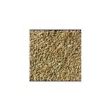 Kanarya Yemi Sade ( 2Kg Acik)