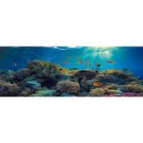 Kanki Pet 185 CM Akvaryum Arka Fon Yapıştırma 185 x 65 CM