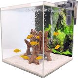 Kanki Pet 40X40X40 Nano Akvaryum Seti 6mm Ultra Clear Cam Rodajlı Full Aksesuarlı