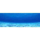 Kanki Pet Akvaryum Arka Fon Yapıştırma 185 x 65 cm KP18565003