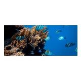 Kanki Pet KP1556514 Akvaryum Arka Fon Yapıştırma 155 x 65 CM