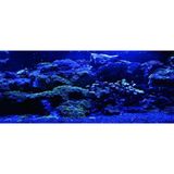 Kanki Pet KP1556525 Akvaryum Arka Fon Yapıştırma 155 x 65 CM