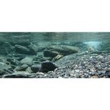 Kanki Pet KP1556531 Akvaryum Arka Fon Yapıştırma 155 x 65 cm