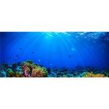 Kanki Pet KP1556532 Akvaryum Arka Fon Yapıştırma 155 x 65 cm