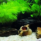 Kanki Pet KP1556533 Akvaryum Arka Fon Yapıştırma 155 x 65 CM