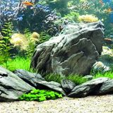 Kanki Pet KP1556534 Akvaryum Arka Fon Yapıştırma 155 x 65 CM