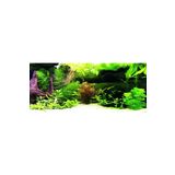 Kanki Pet KP1556536 Akvaryum Arka Fon Yapıştırma 155 x 65 CM