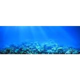 Kanki Pet KP18565022 Akvaryum Arka Fon Yapıştırma 185 x 65 CM