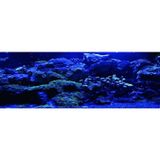 Kanki Pet KP18565025 Akvaryum Arka Fon Yapıştırma 185 x 65 CM
