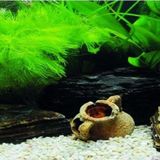 Kanki Pet KP18565033 Akvaryum Arka Fon Yapıştırma 185 x 65 CM