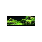 Kanki Pet KP18565035 Akvaryum Arka Fon Yapıştırma 185 x 65 CM