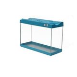Kanki Pet KP3018 Renkli Kapak Mini Akvaryum Turkuaz 30 CM