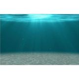 Kanki Pet KP7045006 Akvaryum Arka Fon Yapıştırma 70 x 45 CM