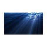 Kanki Pet KP7045007 Akvaryum Arka Fon Yapıştırma - 70x45 cm
