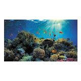 Kanki Pet KP7045021 Akvaryum Arka Fon Yapıştırma 70 x 45 CM