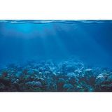 Kanki Pet KP7045022 Akvaryum Arka Fon Yapıştırma 70 x 45 cm