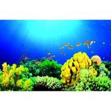 Kanki Pet KP7045027 Akvaryum Arka Fon Yapıştırma 70 x 45 CM